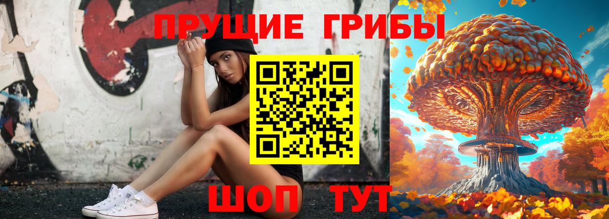 Псилоцибиновые грибы мицелий  Галлюциногенные грибы мицелий  Вход с VPN  Вязники 